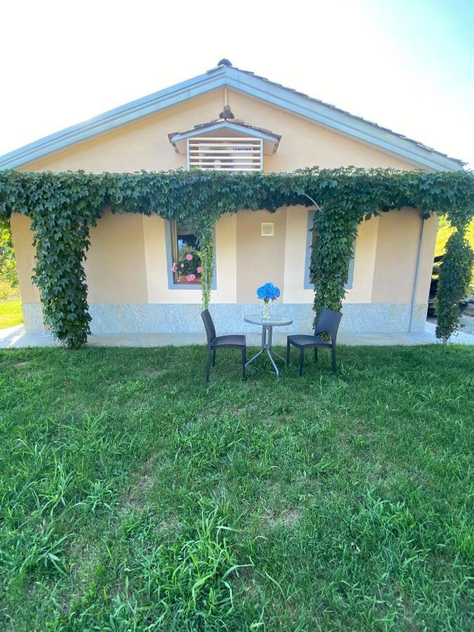 Cascina Serra Eco-House Beb Muzzano المظهر الخارجي الصورة